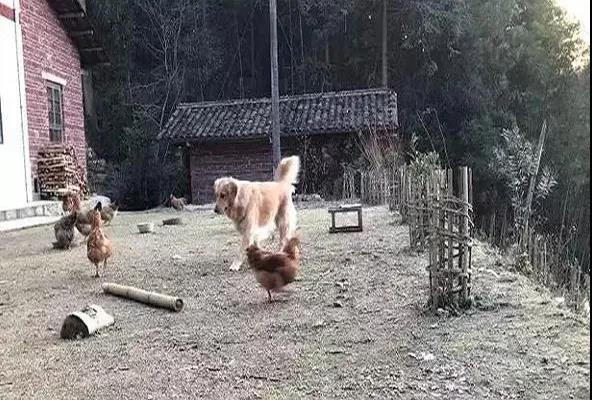 微信图片_20210308104957.jpg